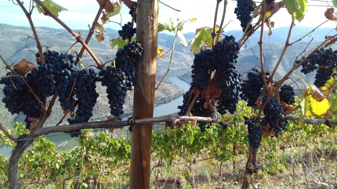 Stay At The Winemaker Ervedosa do Douro Exteriér fotografie