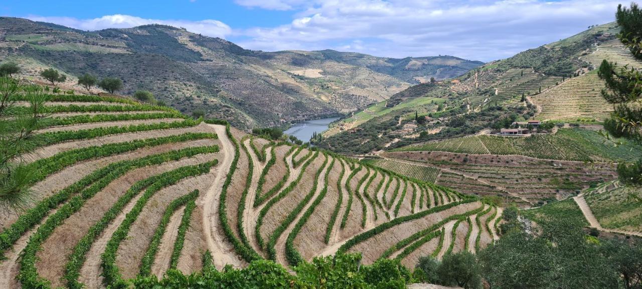 Stay At The Winemaker Ervedosa do Douro Exteriér fotografie