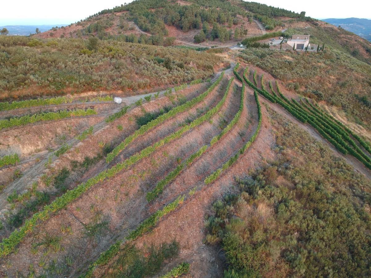 Stay At The Winemaker Ervedosa do Douro Exteriér fotografie