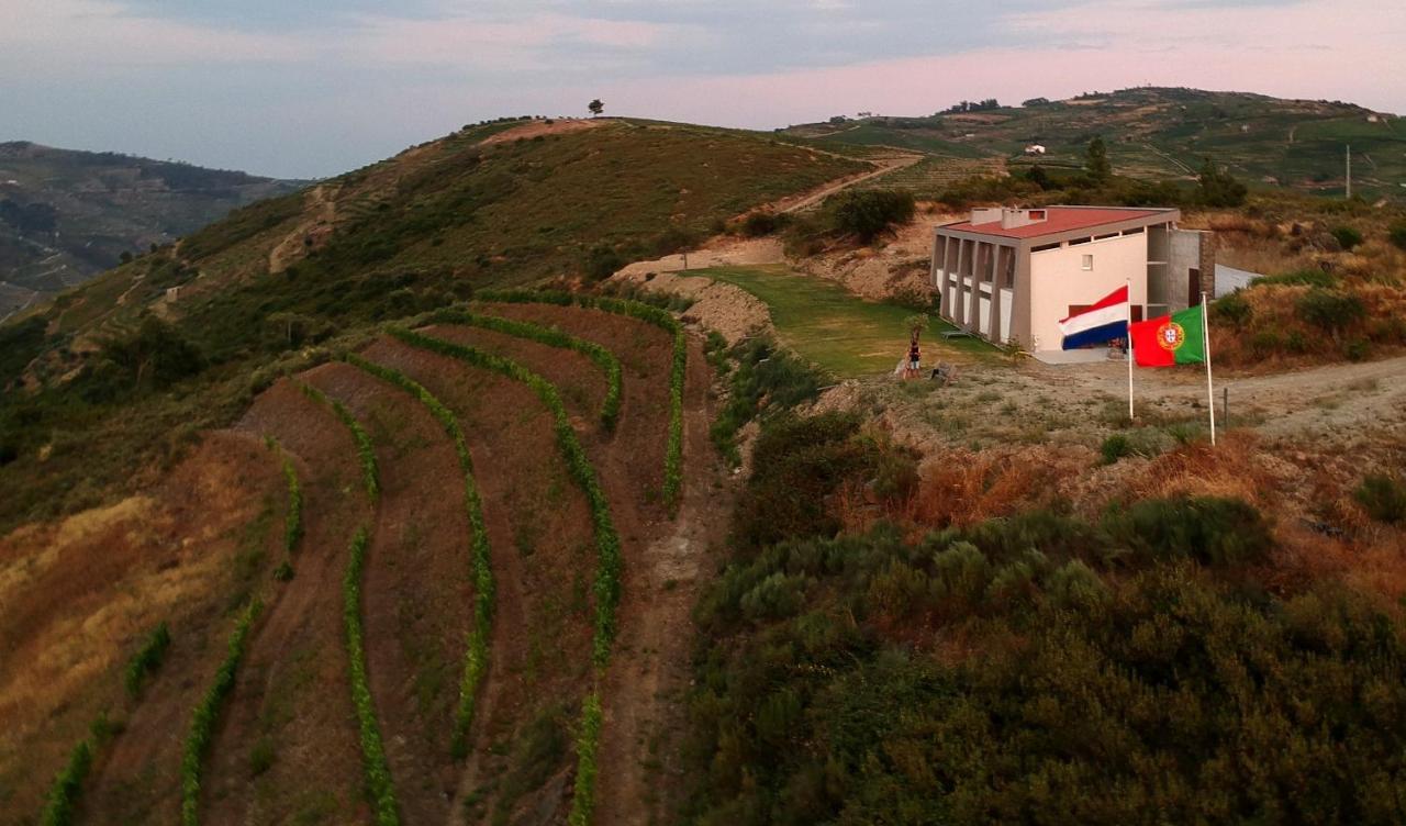 Stay At The Winemaker Ervedosa do Douro Exteriér fotografie