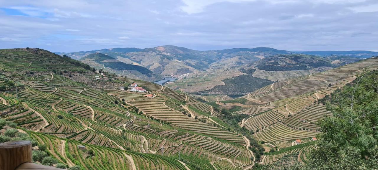 Stay At The Winemaker Ervedosa do Douro Exteriér fotografie